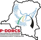 P-DDRCS